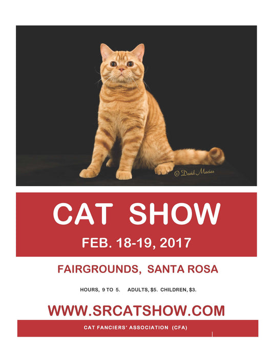 Come join me at the annual COTW Cat Fanciers' Cat Show on February 18-19, 2017. See what's new from artist Claudia Sanchez. Ragdolll artwork, t-shirts, tiles, jewelry and more!