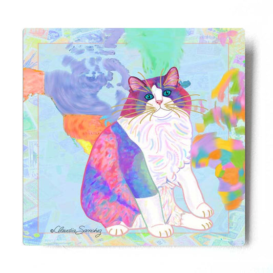 Zapata's World Aluminum Ragdoll Cat Art Print by Claudia Sanchez