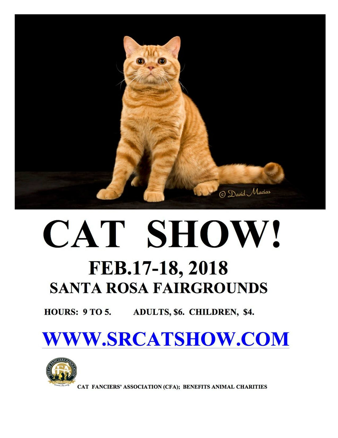 UPCOMING EVENT - CAT SHOW IN SANTA ROSA on February 17 & 18, 2018