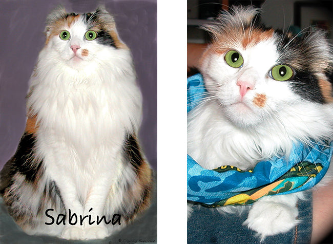 Claudia's Cat Sabrina