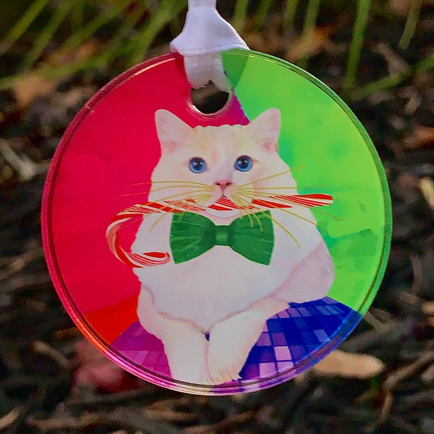 Erik's Christmas Party Ball Acrylic Cat Art Christmas Ornament by Claudia Sanchez