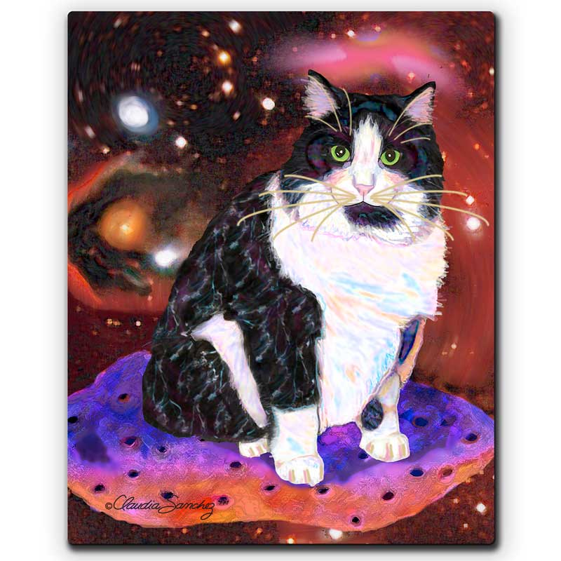 Oreo, Cat Astronaut Aluminum Cat Art Print, 8x10"
