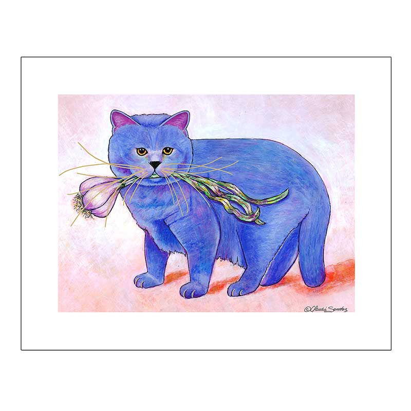 Kayo Garlic Cat Giclee on Watercolor Paper by Claudia Sanchez, Claudia's Cats Collection