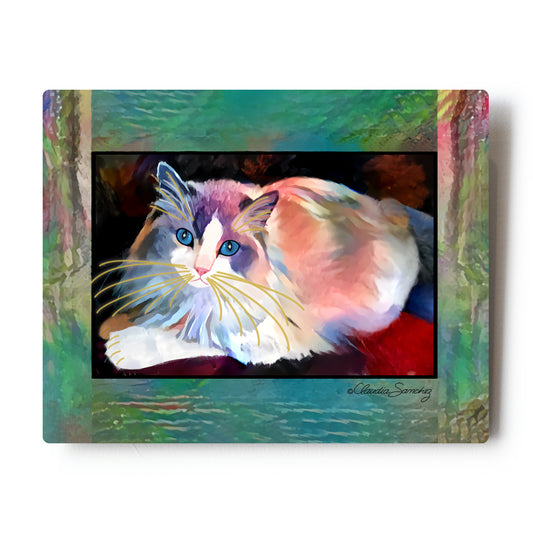 Gunner in the Window Aluminum Cat Art Print, 8x10" by Claudia Sanchez