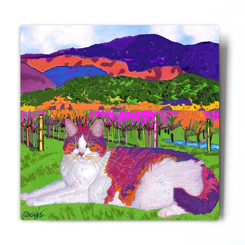 Moocher in Butler Vineyards Aluminum Cat Art Print by Claudia Sanchez - White Metal Background