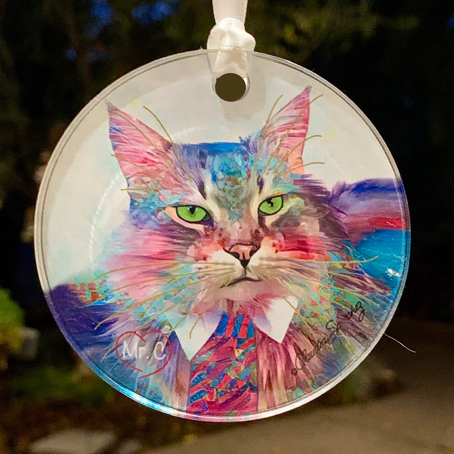Mr C - Acrylic Cat Art Ornament by Claudia Sanchez
