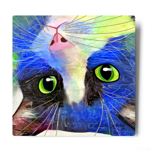 Pinto's Blue Face Aluminum Cat Art Print by Claudia Sanchez