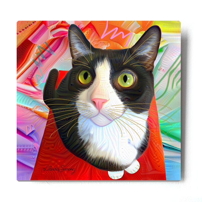 Pinto's Face Aluminum Cat Art Print by Claudia Sanchez
