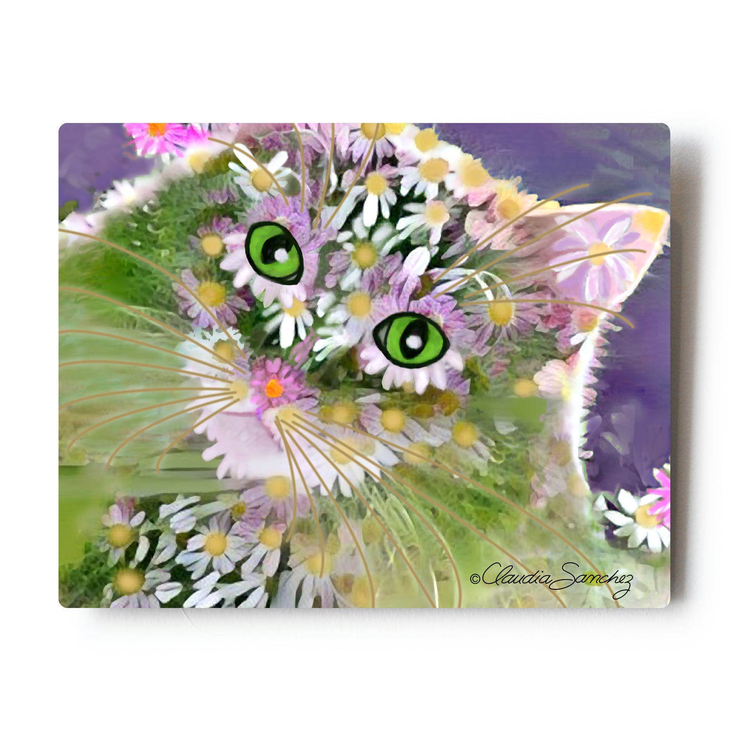8 x 10 Aluminum Art Print features Simon in Bloom, cat art by Claudia Sanchez.